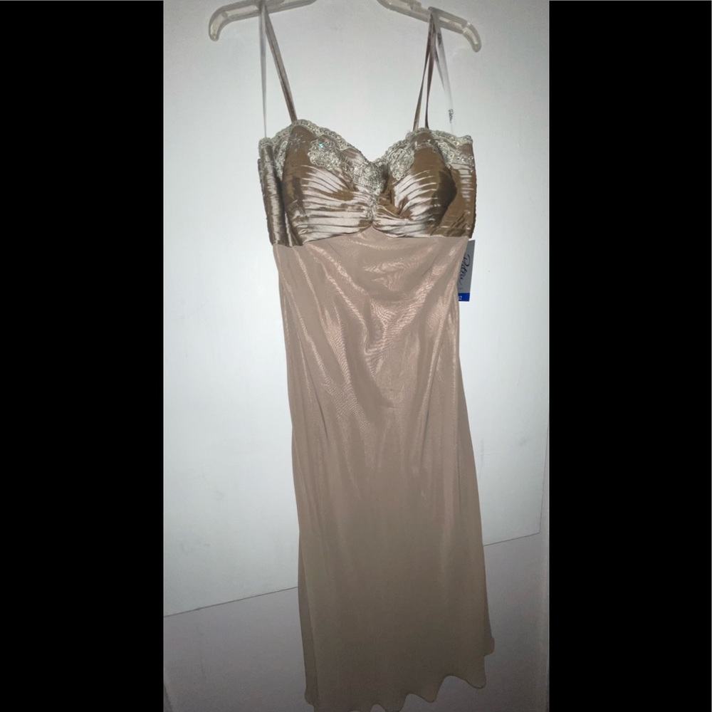 Patra Petite Gown Size 12